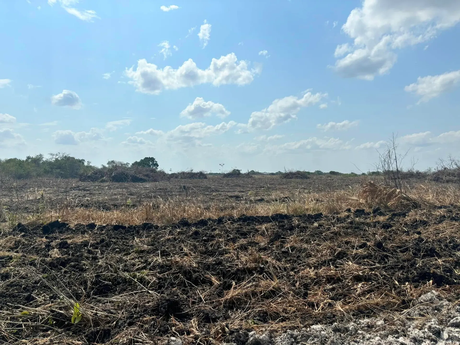 17.4 Acres of Land - San Pablo, photo 1