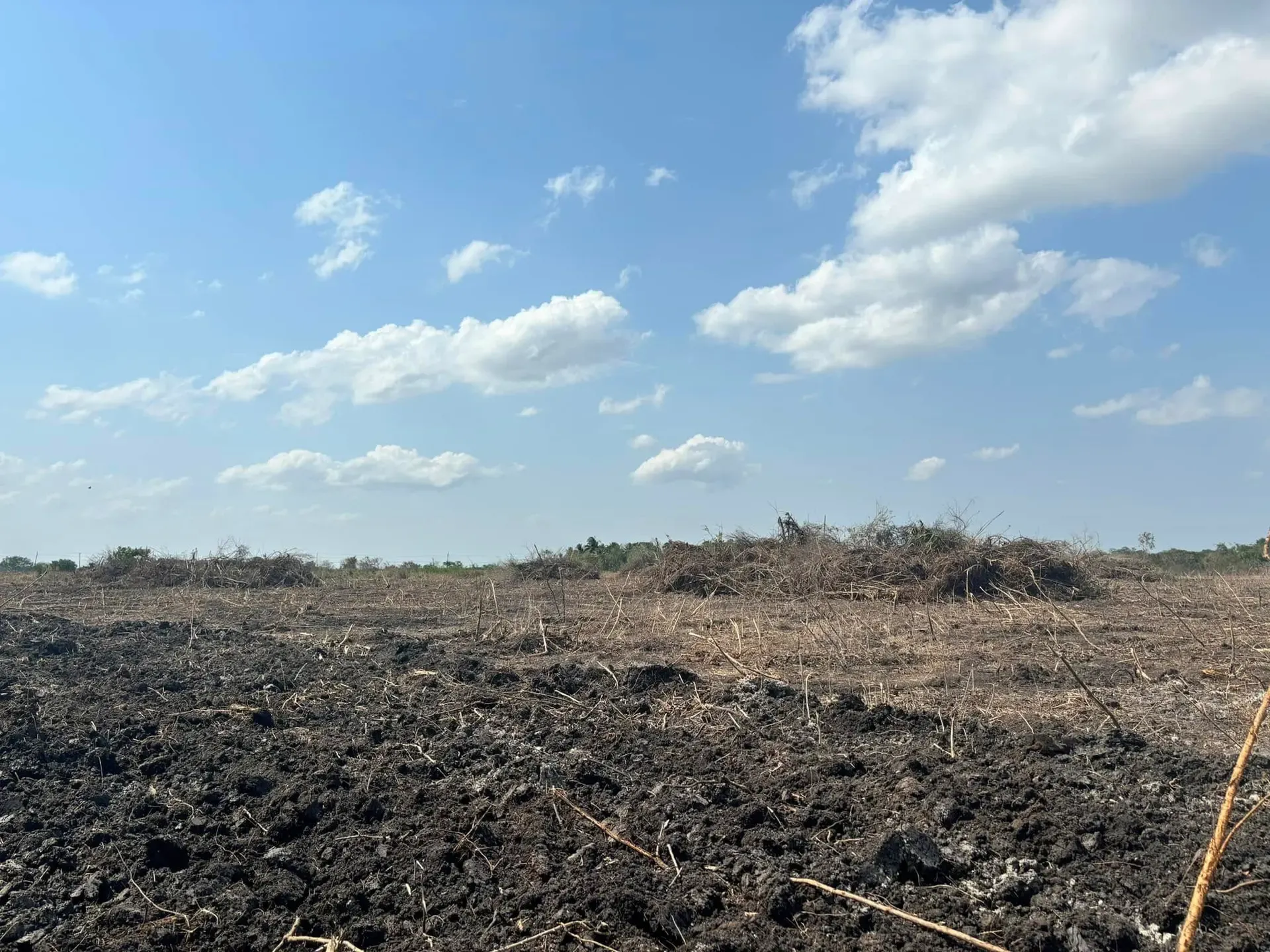 17.4 Acres of Land - San Pablo, photo 3