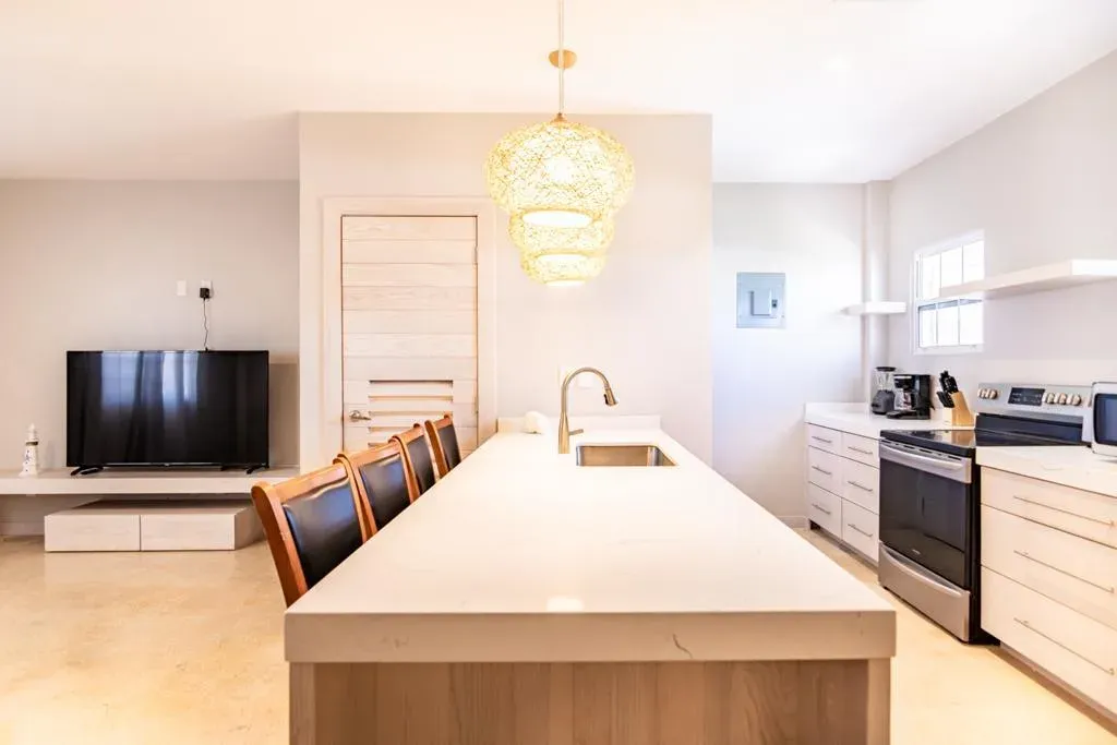 Open kitchen and living area