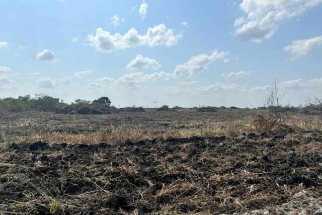 17.4 Acres of Land